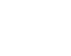 The Village Crown White Logo
